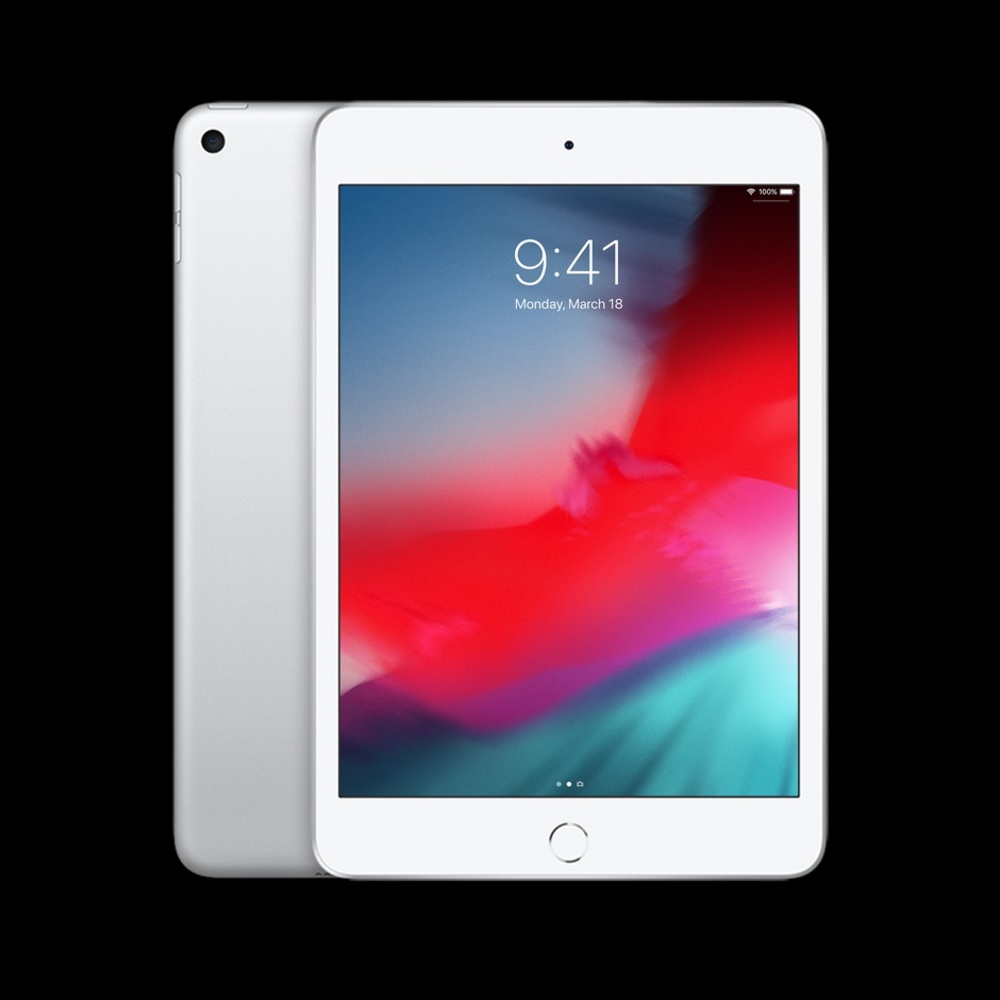 iPad mini with case